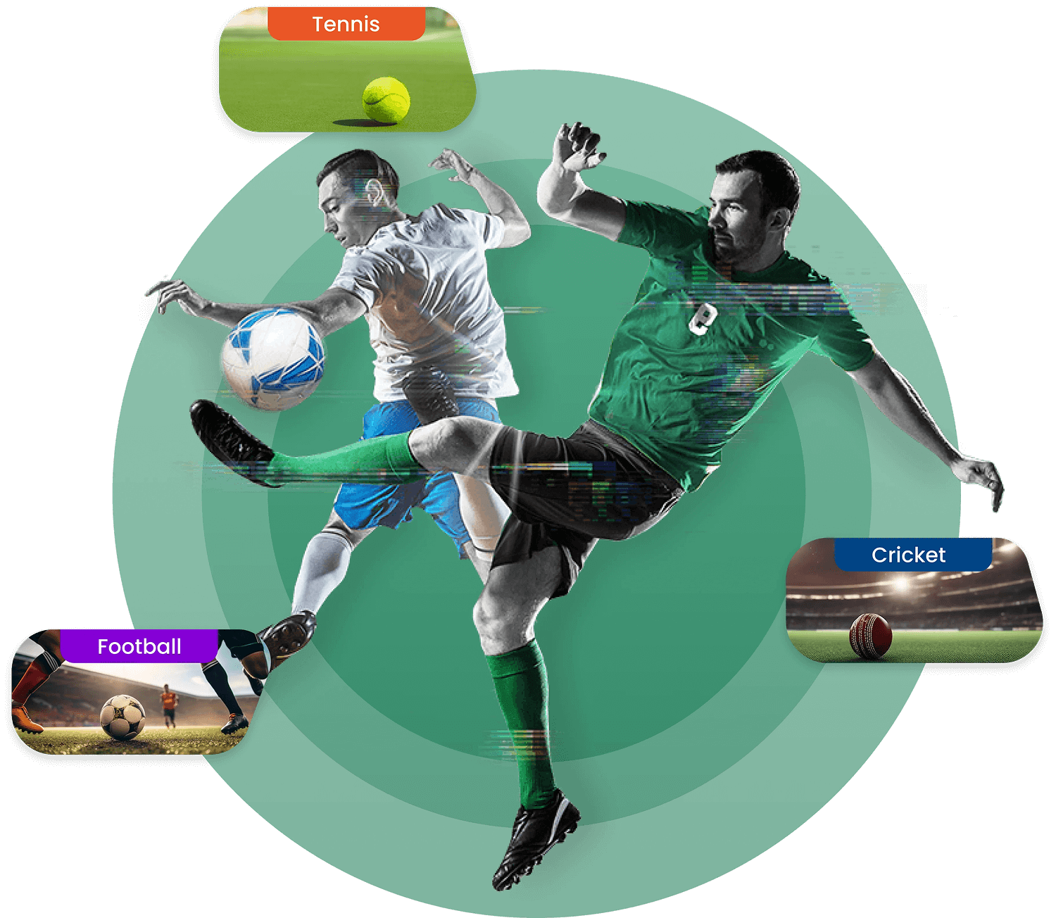 AI Sports Prediction Software